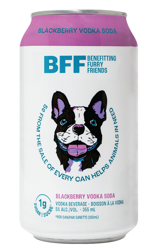 BFF Blackberry Vodka Soda